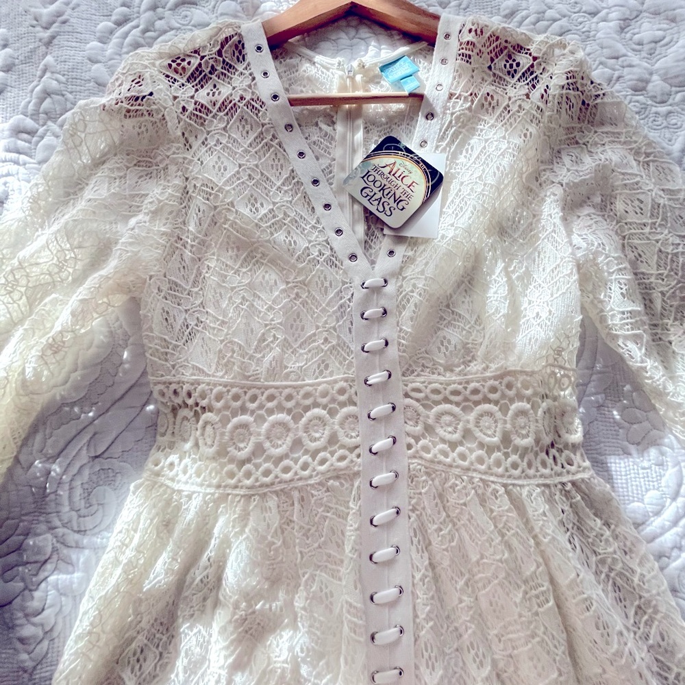 Disney Alice Through the Looking Glass Dress